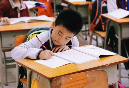 江蘇全面啟動課后服務與家庭教育咨詢，為家長減負解憂